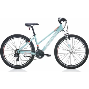 Aspid 25 V Fren 21-V 330H 24 Jant Bayan Dağ Bisikleti