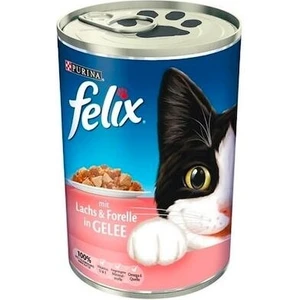 Somonlu ve Alabalıklı Konserve Yetişkin Kedi Maması 24 x 400 G