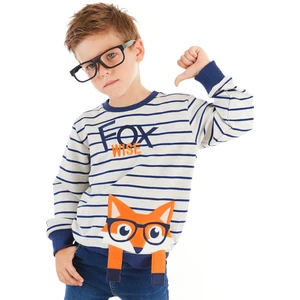 Tilki Çizgili Erkek Çocuk Sweatshirt