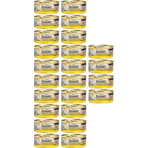 Gold Kıyılmış Tavuklu Konserve Yetişkin Kedi Maması 24 x 85 G