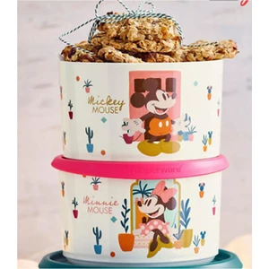 Minnie Mickey Set
