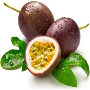 Reyon Bahçe Pasiflora Edulis Çarkıfelek Fidanı 15 cm