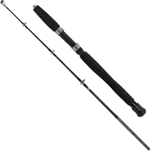 Albastar Boat 120CM 100-200G Kamış