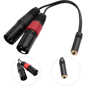 3.5 mm Stereo Dişi-2 Xlr Erkek Kablo 20 cm