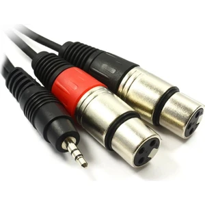 3.5 mm Stereo To 2 Xlr Dişi Kablo 1.5 Metre