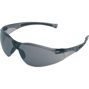 HONEYWELL A800 (1015367) GRAY TEMPLES / TSR GRAY LENS / FOG-BAN