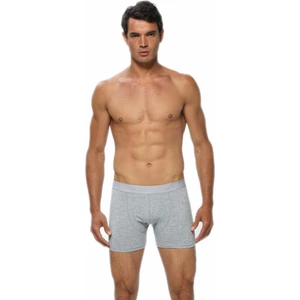 6 Adet Gri Renk Likralı Boxer