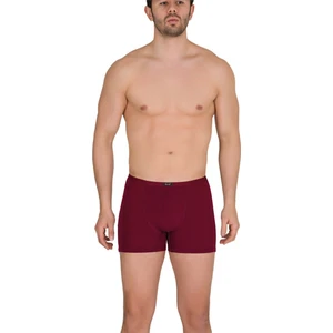 Bordo Renk Ince Kemerli Modal Boxer