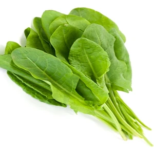 Kuzukulağı Ekşi Ot Tohumu-5 Gram