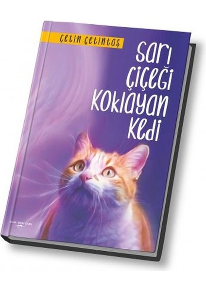 Sarı Çiçeği Koklayan Kedi