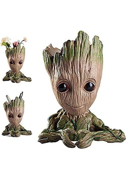 Groot Saksı Kalpli Bonsai Saksısı Kalemlik Sukulent Sphagnum Yosunlar