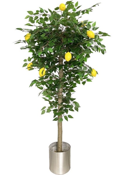 Yapay Limon Ağacı 180CM Doğal Görünümlü Yapay Ağaç