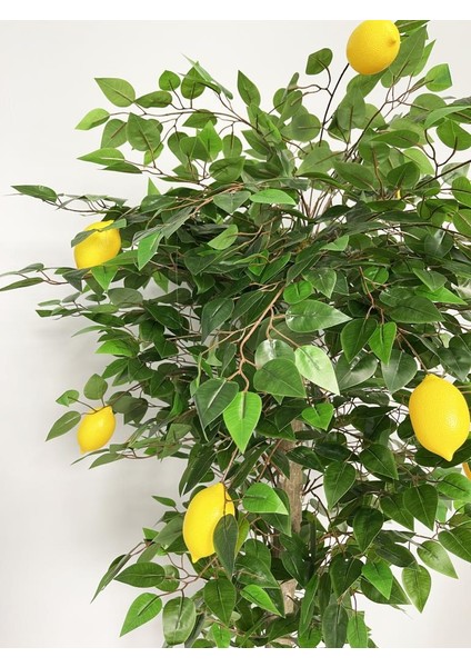 Yapay Limon Ağacı 180CM Doğal Görünümlü Yapay Ağaç