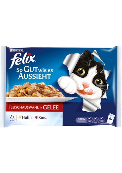 Purina Felix Çifte Lezzet Sığır Etli ve Tavuklu Pouch Yetişkin Kedi Maması 40 x 85 G(4lü Paket)