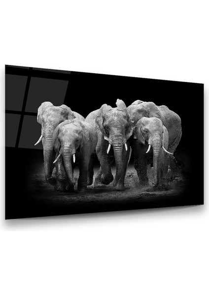 Filler Yatay Cam Tablo