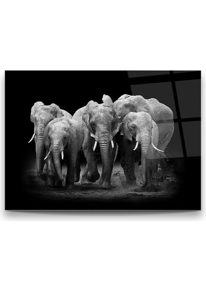 Filler Yatay Cam Tablo fiyatları