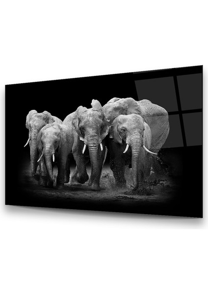 Filler Yatay Cam Tablo modelleri