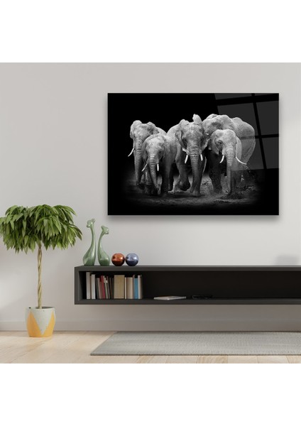 Filler Yatay Cam Tablo fırsatları