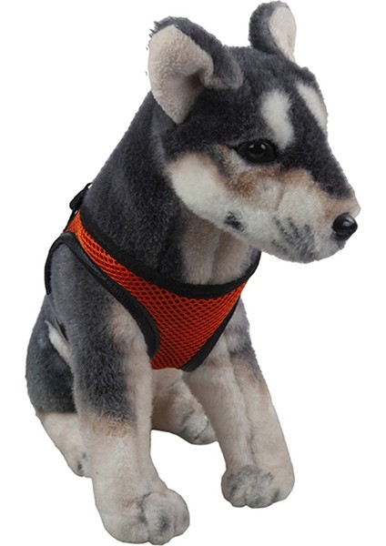 Göğüs Tasması L Turuncu modelleri