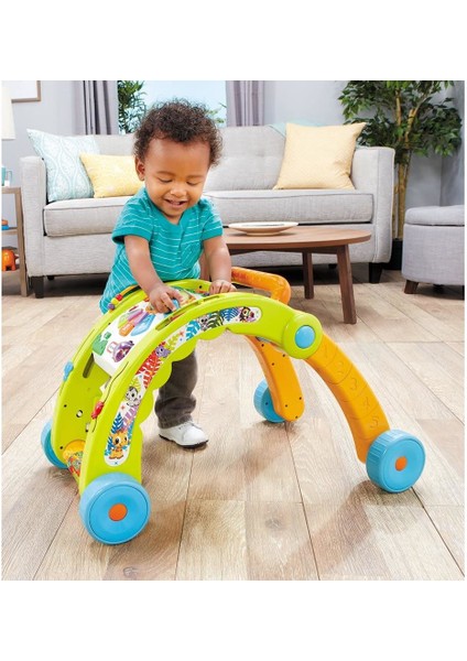 Üçü Bir Arada Yürüteç / 3-In-1 Activty Walker