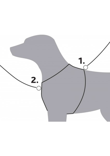 Köpek Premium Göğüs Tasması M 55-70cm 20mm Çivit Mavi
