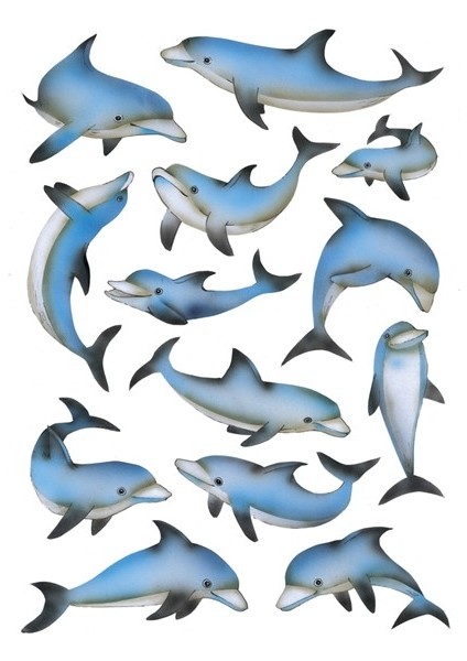 Decor Yunuslar Etiket