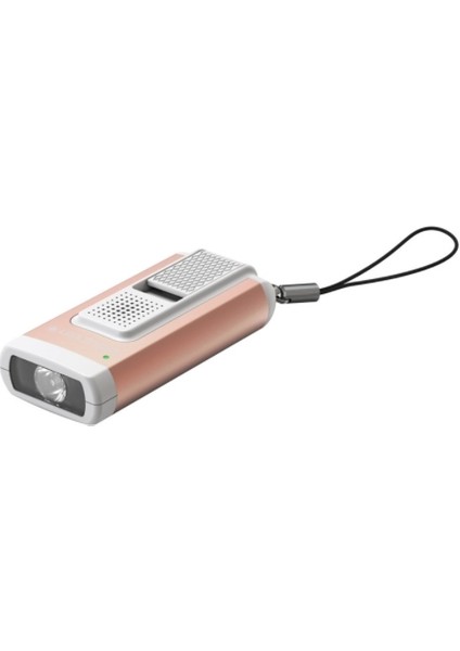 Ledlenser K6R Safety Gold 502581