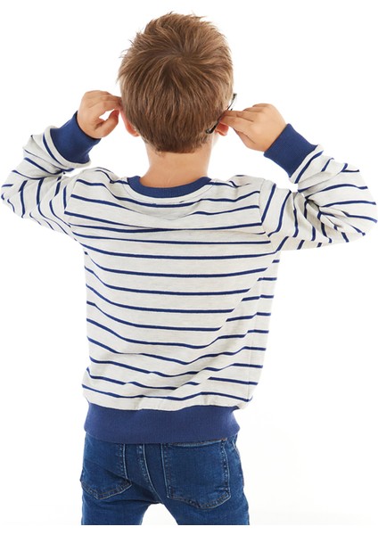 Tilki Çizgili Erkek Çocuk Sweatshirt fiyatları
