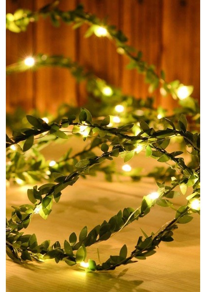 Techno Smart 5 Metre Dekoratif Yapay Yapraklı Peri LED Sarmaşık Ledli (Günışığı)
