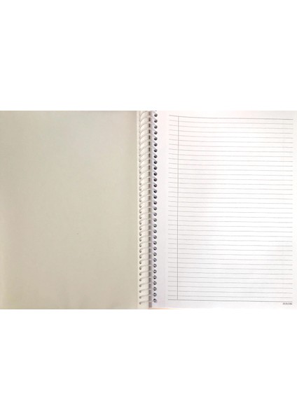 A4 80 Yaprak Spiralli Pastel Renk Çizgili Sunum Defteri modelleri