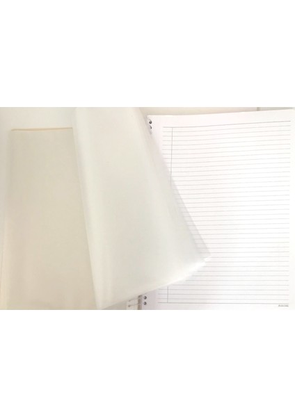 A4 80 Yaprak Spiralli Pastel Renk Çizgili Sunum Defteri fırsatları