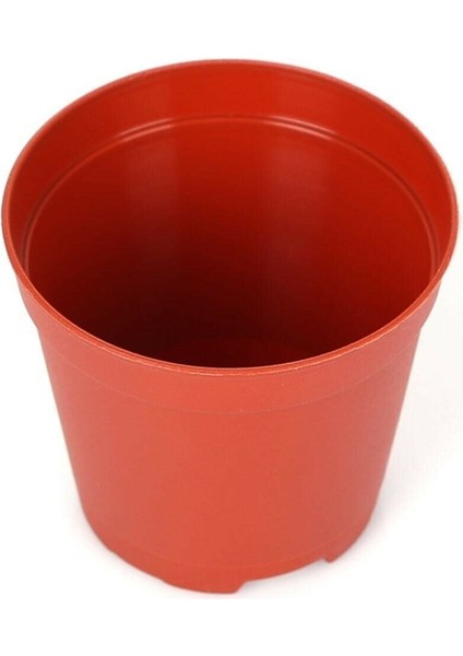 5.5 cm Sukulent Kaktüs Saksısı 50 Adet