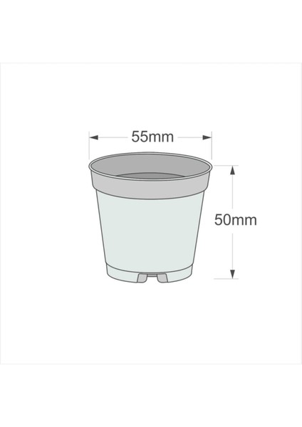 5.5 cm Sukulent Kaktüs Saksısı 50 Adet