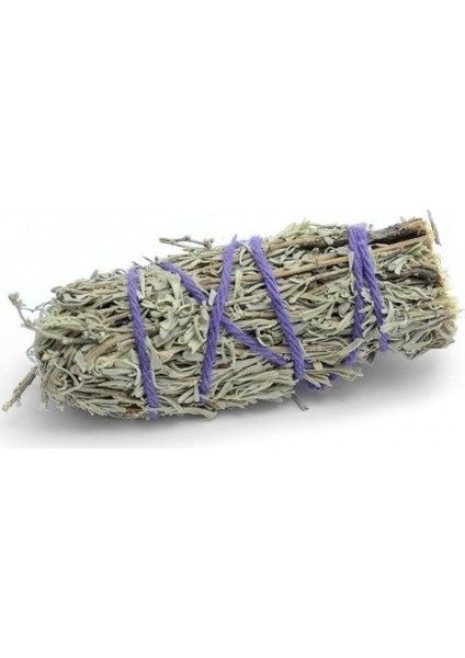 Doğal Çalba (Salvia fruticosa) - Saf ve Taze Adaçayı Baharatı