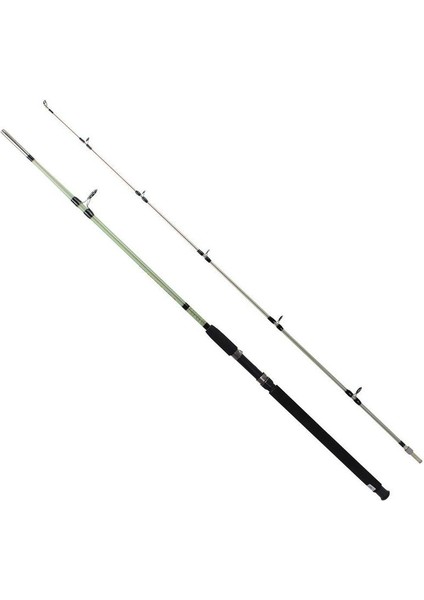 Classic 30-150GR 2,40M Kamış