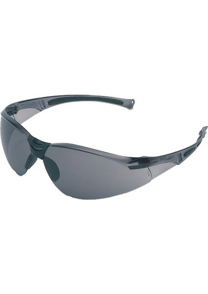 A800 (1015367) GRAY TEMPLES / TSR GRAY LENS / FOG-BAN
