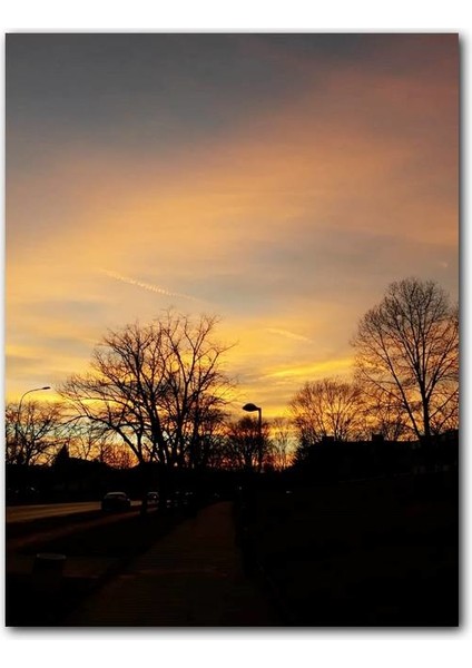Ahşap Tablo Günbatımında Kuru Dallar ve Gökyüzü