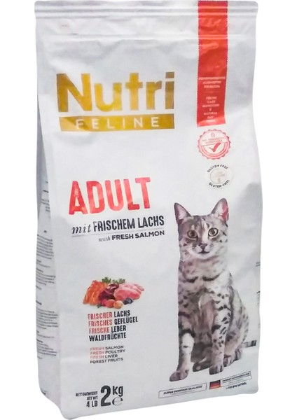 Nutri Feline Adult Somon Etli 2kg Nutri Feline Yetişkin Kedi Maması Kürek