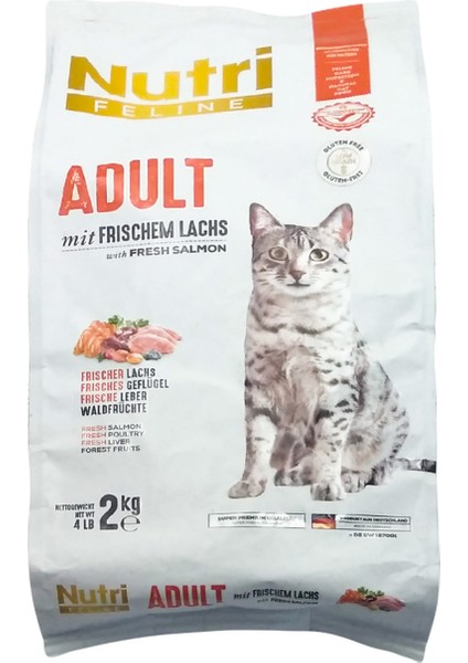 Nutri Feline Adult Somon Etli 2kg Nutri Feline Yetişkin Kedi Maması Kürek