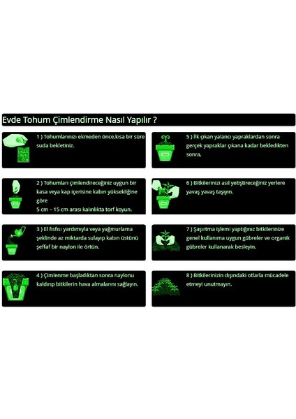 Erkenci Hilal Bakla Tohumu-50 Gram fiyatları