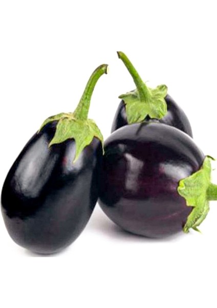 Topan Topak Patlıcan Tohumu-10 Gram