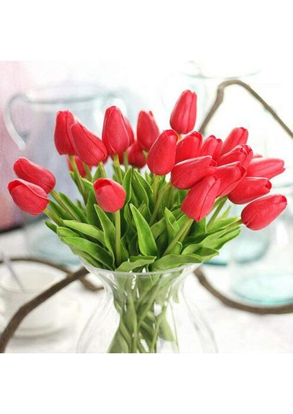 Pink Christmas Carol Lale Soğanı-5 Adet