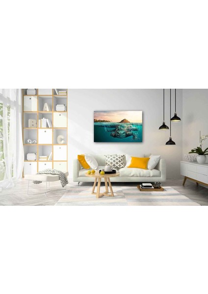 Sualtı Canlıları Cam Tablo 4mm Dayanıklı Temperli Cam fiyatları