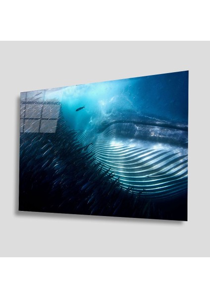 Sualtı Canlıları Cam Tablo 4mm Dayanıklı Temperli Cam