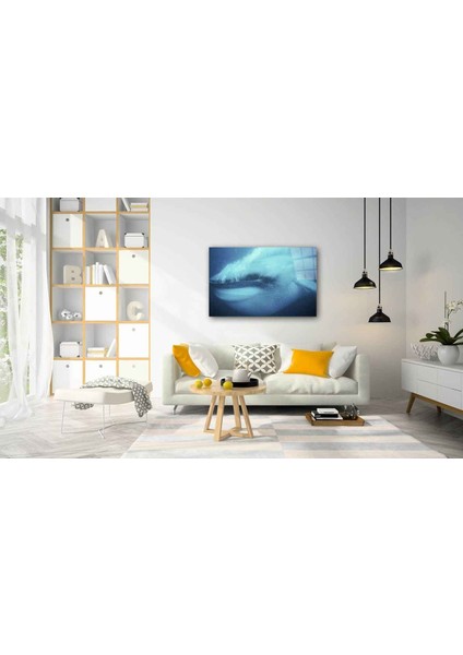 Sualtı Canlıları Cam Tablo 4mm Dayanıklı Temperli Cam fiyatları