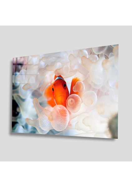 Sualtı Canlıları Cam Tablo 4mm Dayanıklı Temperli Cam