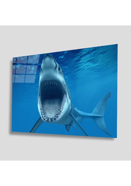 Sualtı Canlıları Cam Tablo 4mm Dayanıklı Temperli Cam