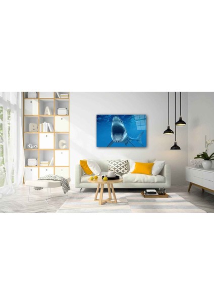 Sualtı Canlıları Cam Tablo 4mm Dayanıklı Temperli Cam fiyatları