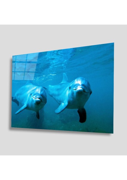 Sualtı Canlıları Cam Tablo 4mm Dayanıklı Temperli Cam