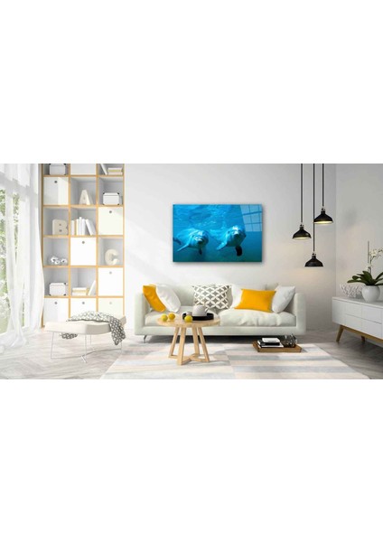 Sualtı Canlıları Cam Tablo 4mm Dayanıklı Temperli Cam fiyatları